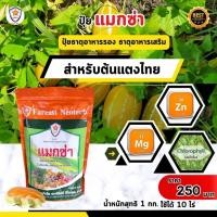 ราคา แมกซ่า ธาตุอาหารรอง ธาตุอาหารเสริมพืช แมกนีเซียม ซิงค์ เพิ่มคุณภาพและผลผลิตให้ต้นแตงไทย (25903848312)
