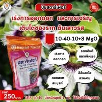 ราคา เร่งการออกดอกและเร่งราก เสาวรส ด้วยปุ๋ยสตาร์เฟอร์ สูตร 10 40 10 3 MgO (25763090017)