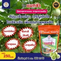 ราคา แมกซ่า ธาตุอาหารรอง ธาตุอาหารเสริมพืช แมกนีเซียม ซิงค์ เพิ่มคุณภาพและผลผลิตให้ต้นมะเขือเปราะ (25503675446)