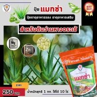 ราคา แมกนีเซียม สังกะสี ธาตุรอง ธาตุเสริม สำหรับต้นว่านหางจระเข้ เพิ่มครอโรฟิลล์ เร่งโต ใบเขียว เพิ่มคุณภาพผลผลิต ด้วยแมกซ่า (25453677974)