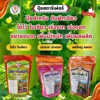 ราคา ปุ๋ยสตาร์เฟอร์ สูตรเฉพาะสำหรับต้นฟักเขียว 3 สูตร 3 ช่วง 3 ผลลัพธ์ ฟักเขียวโตไว ใบเขียว เร่งราก เร่งดอก ผลดก เพิ่มผลผลิต (25212119020)