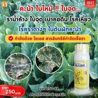 ราคา คะน้า ใบจุด ใบไหม้ ราน้ำค้าง เน่าคอดิน โรคเหี่ยว โรคราต่างๆ ป้องกันกำจัดด้วย ไอเอส และเร่งฟื้นฟู ด้วยปุ๋ย FK T (25172251988)