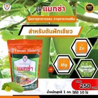 ราคา ธาตุอาหารรอง ธาตุอาหารเสริม ที่จำเป็นของต้นฟักเขียว แม็กนีเซียม ซิงค์ สร้างความแข็งแรง บำรุงดิน บำรุงพืช ด้วยแมกซ่า (24903966651)