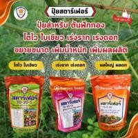 ราคา ปุ๋ยฟักทอง ปุ๋ยสูตรพิเศษสำหรับต้นฟักทอง เร่งโต ใบเขียว เร่งราก เร่งดอก ผลใหญ่ ผลดก เพิ่มผลผลิต (24511664371)