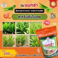 ราคา ธาตุอาหารรอง ธาตุอาหารเสริม ที่จำเป็นของต้นใบเตย แม็กนีเซียม ซิงค์ สร้างความแข็งแรง บำรุงดิน บำรุงพืช ด้วยแมกซ่า (24004063660)