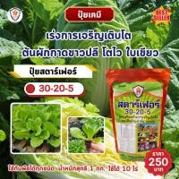 ราคา ปุ๋ย ฉีดพ่น ต้นผักกาดขาวปลี โตไว ใบเขียว เขียวไว เขียวนาน แข็งแรง น้ำหนักดี เพิ่มผลผลิต โดย สตาร์เฟอร์ (23352949365)
