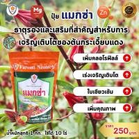 ราคา แมกนีเซียม สังกะสี ธาตุรอง ธาตุเสริม สำหรับต้นกระเจี๊ยบแดง เพิ่มครอโรฟิลล์ เร่งโต ใบเขียว เพิ่มคุณภาพผลผลิต ด้วยแมกซ่า (23288769711)