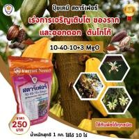 ราคา ปุ๋ยเร่งรากโกโก้ ปุ๋ยเร่งดอกโกโก้ สูตร 10 40 10 3 MgO ปุ๋ยฉีดพ่นทางใบ ต้นโกโก้ โดย สตาร์เฟอร์ ใช้ได้กับพืชทุกชนิด (23255622900)