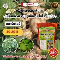 ราคา ปุ๋ย ฉีดพ่น ต้นมันแกวหวาน มันเภา โตไว ใบเขียว เร่งราก เร่งดอก หัวใหญ่ ดกเต็มต้น น้ำหนักดี เพิ่มผลผลิต โดย สตาร์เฟอร์ (22877750503)
