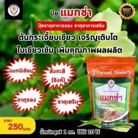ราคา แมกนีเซียม สังกะสี ธาตุรอง ธาตุเสริม สำหรับต้นกระเจี๊ยบเขียว เพิ่มครอโรฟิลล์ เร่งโต ใบเขียว เพิ่มคุณภาพผลผลิต ด้วยแมกซ่า (19996029087)