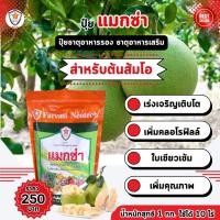ราคา แมกซ่า ธาตุอาหารรอง ธาตุอาหารเสริมพืช แมกนีเซียม ซิงค์ เพิ่มคุณภาพและผลผลิตให้ต้นส้มโอ (19795909203)