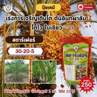 ราคา ปุ๋ย ฉีดพ่น ต้นอินทผาลัม โตไว ใบเขียว เร่งราก เร่งดอก ผลใหญ่ ดกเต็มต้น น้ำหนักดี เพิ่มผลผลิต โดย สตาร์เฟอร์ (13699729970)
