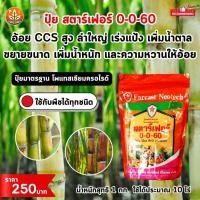 ราคา อ้อย อ้อย CCS สูง ลำใหญ่ เร่งแป้ง เพิ่มน้ำตาล ขยายขนาด เพิ่มน้ำหนัก และความหวานให้อ้อย ด้วย ปุ๋ย สตาร์เฟอร์ 0 0 60 (24075877012)