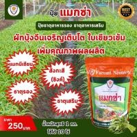 ราคา แมกนีเซียม สังกะสี ธาตุรอง ธาตุเสริม สำหรับต้นผักบุ้งจีน เพิ่มครอโรฟิลล์ เร่งโต ใบเขียว เพิ่มคุณภาพผลผลิต ด้วยแมกซ่า (23262733138)