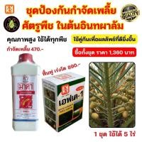 ราคา ชุดป้องกันกำจัดเพลี้ย ในต้นอินทผาลัม คุณภาพสูง ใช้ได้ทุกพืช มาคา สารอินทรีย์ และปุ๋ยทางใบ FK 1 (42800584727)