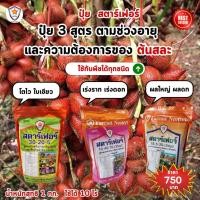 ราคา ปุ๋ย สตาร์เฟอร์ 3 สูตร พิชิตทุกความต้องการของต้นสละ โตไว ใบเขียว เร่งราก เร่งดอก ผลใหญ่ ดกเต็มต้น (24661949813)