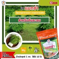 ราคา แมกซ่า ธาตุอาหารรอง ธาตุอาหารเสริมพืช แมกนีเซียม ซิงค์ เพิ่มคุณภาพและผลผลิตให้ต้นชะอม (23263270459)