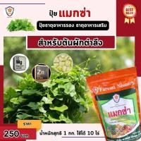 ราคา แมกซ่า ธาตุอาหารรอง ธาตุอาหารเสริมพืช แมกนีเซียม ซิงค์ เพิ่มคุณภาพและผลผลิตให้ต้นผักตำลึง (23188687503)