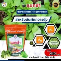 ราคา แมกซ่า ธาตุอาหารรอง ธาตุอาหารเสริม ที่จำเป็นของต้นผักกวางตุ้ง แม็กนีเซียม ซิงค์ สร้างความแข็งแรง บำรุงดิน บำรุงพืช (22162863938)
