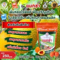 ราคา ธาตุอาหารรอง ธาตุอาหารเสริม ที่จำเป็นของต้นฟักข้าว แม็กนีเซียม ซิงค์ สร้างความแข็งแรง บำรุงดิน บำรุงพืช ด้วยแมกซ่า (19987010971)