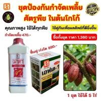 ราคา ชุดป้องกันกำจัดเพลี้ย ในต้นโกโก้ คุณภาพสูง ใช้ได้ทุกพืช มาคา สารอินทรีย์ และปุ๋ยทางใบ FK 1 (43650168841)