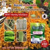 ราคา กำจัดเพลี้ย ในต้นอินทผาลัม เช่นเพลี้ยแป้ง เพลี้ยอ่อน เพลี้ยไฟ และเพลี้ยต่างๆด้วย INVET และฟื้นฟูด้วย ปุ๋ยStarfer 30 20 5 (22880203494)