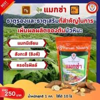 ราคา ธาตุอาหารรอง ธาตุอาหารเสริม ที่จำเป็นของต้นบัวหิมะ แม็กนีเซียม ซิงค์ สร้างความแข็งแรง บำรุงพืช ด้วยแมกซ่า (24853948623)