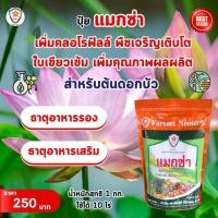 ราคา ธาตุอาหารรอง ธาตุอาหารเสริม ที่จำเป็นของต้นดอกบัว แม็กนีเซียม ซิงค์ สร้างความแข็งแรง บำรุงพืช ด้วยแมกซ่า (24303975729)