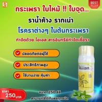 ราคา กระเพรา ใบไหม้ ใบจุด ราน้ำค้าง รากเน่า โรคราต่างๆ ในต้นกระเพรา ป้องกันกำจัดด้วย ไอเอส และเร่งฟื้นฟู ด้วย FK T (24175156405)