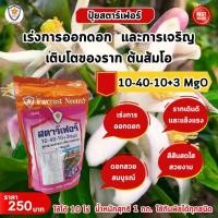 ราคา เร่งการออกดอกและเร่งรากสำหรับต้นส้มโอ ปุ๋ยสตาร์เฟอร์ สูตร 10 40 10 3 MgO สำหรับต้นส้มโอ (24463211473)