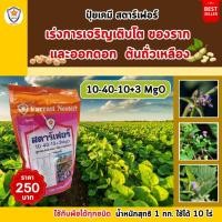 ราคา ปุ๋ยเร่งรากถั่วเหลือง ปุ๋ยเร่งดอกถั่วเหลือง สูตร 10 40 10 3 MgO ปุ๋ยฉีดพ่นทางใบ ต้นถั่วเหลือง โดย สตาร์เฟอร์ (22355610730)