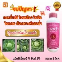 ราคา กะหล่ำปลีใบเหลือง ใบซีด ใบแคบ สังเคราะห์แสงต่ำ แก้ได้ด้วยเมลดา แมกนีเซียม สังกะสี (56357012174)