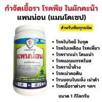 ราคา ต้นผักคะน้า ใบไหม้ใบจุด รากเน่า ราน้ำค้าง โรคพืชจากเชื้อราต่างๆ กำจัดด้วยแพนน่อน ใช้ได้กับพืชทุกชนิด (29911504618)