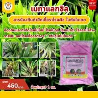 ราคา ปกป้อง ต้นใบเตย ของคุณจากโรคพืชที่เกิดจากเชื้อรา ด้วย Metalaxyl และเร่งฟื้นฟูด้วยปุ๋ย Starfer Fertilizer 30 20 5 (25015934829)