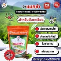 ราคา แมกซ่า ธาตุอาหารรอง ธาตุอาหารเสริมพืช แมกนีเซียม ซิงค์ เพิ่มคุณภาพและผลผลิต ให้ต้นชาเขียว (18395964785)