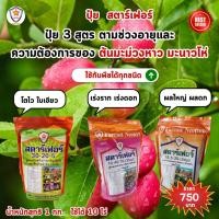 ราคา ปุ๋ย สตาร์เฟอร์ 3 สูตร พิชิตทุกความต้องการ มะม่วงหาว มะนาวโห่ โตไว ออกดอก ดก ผลใหญ่ น้ำหนักดี แข็งแรง เพิ่มผลผลิต (24661977910)