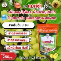 ราคา แมกนีเซียม สังกะสี ธาตุรอง ธาตุเสริม สำหรับต้นมะยม เพิ่มครอโรฟิลล์ เร่งโต ใบเขียว เพิ่มคุณภาพผลผลิต ด้วยแมกซ่า (25553944491)