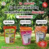 ราคา ปุ๋ยสตาร์เฟอร์ ปุ๋ยคุณภาพสูง 3 สูตร ครบทุกความต้องการ ต้นมะม่วง เร่งโต ใบเขียว เร่งราก เร่งดอก ผลใหญ่ ผลดก เพิ่มผลผลิต (24410966496)