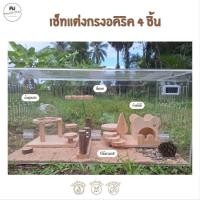 ราคา เช็ตอุปกรณ์แต่งกรง 60 80 cm ครบเซ็ต 4 ชิ้น ธีมมินิมอล สำหรับ หนูแฮมสเตอร์ แฟตแทล ดอร์เมาส์ (46001039868)