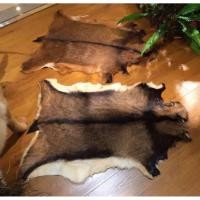 ราคา นำเข้า หนังแพะขนแกะแท้ ขนาดพรีเมียม Premium Big Size Goatskin Whole Chair Cushion (50502702893)