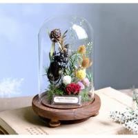 ราคา นำเข้า Insect Botanical Specimen Ecological Micro Landscape Decor Glass Dome ขนาด สูง 19 cm ศูนย์กลาง 12 cm (53852417333)