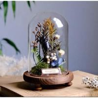 ราคา นำเข้า Insect Botanical Specimen Ecological Micro Landscape Decor Glass Dome สูง 19 cm เส้นผ่านศูนย์กลาง 12 cm (52502408382)