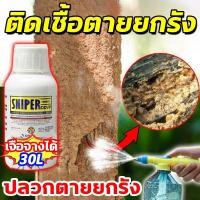 ราคา ใช้ยา1ครั้ง ตายยกรัง ไม่มีสีและไม่มีกลิ่น กำจัดปลวก น้ำยาฉีดปลวก 30L เหยื่อกำจัดปลวก ยาฆ่าปลวก ยาปลวก ยากำจัดมด (43403138808)