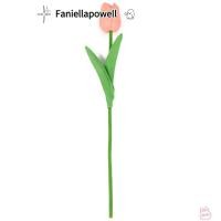 ราคา FANIELLAPOWELL 10 ชิ้นดอกทิวลิปช่อดอกไม้ ดอกทิวลิปประดิษฐ์สาขายาวที่ทนต่อการจางหาย สมจริงประดิษฐ์จริงสัมผัสทิวลิปดอกไม้ปลอมงานแต่งงาน (57358525201)