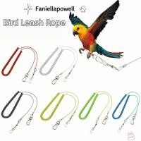 ราคา FANIELLAPOWELL สายจูงฝึกนกแก้ว ตัวเลือกความยาว 3 5 ม สายจูงบินนกเบาพิเศษ เชือกยืดหยุ่นป้องกันการกัดนกบินเชือกอุปกรณ์สัตว์เลี้ยง (54607601077)