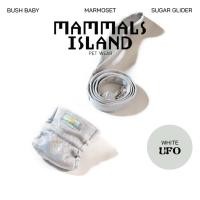 ราคา MAMMALS ISLAND White UFO กางเกงลิง บุชเบบี้ มาโมเสต ชูการ์ไกรเดอร์ สายจูงสั้นแบบติดตัว (55057089193)