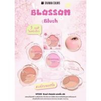 ราคา HF239 SIVANNA COLORS BLOSSOM BLUSH ซีเวนน่า คัลเลอร์ส บลอสซั่ม บลัช (52904970166)