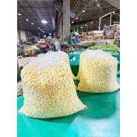 ราคา พร้อมส่ง 5 kg ข้าวโพดแกะเมล็ด1ถุง5กิโลกรัม (44420338189)
