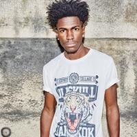 ราคา เสื้อยืด Oldskull Exp HD ลายเสือ BKk (5679915863)