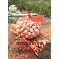 ราคา กระเทียมไทย ตัดจุก ตัดราก คละไซส์ ขนาดเล็ก กลาง (54259107743)
